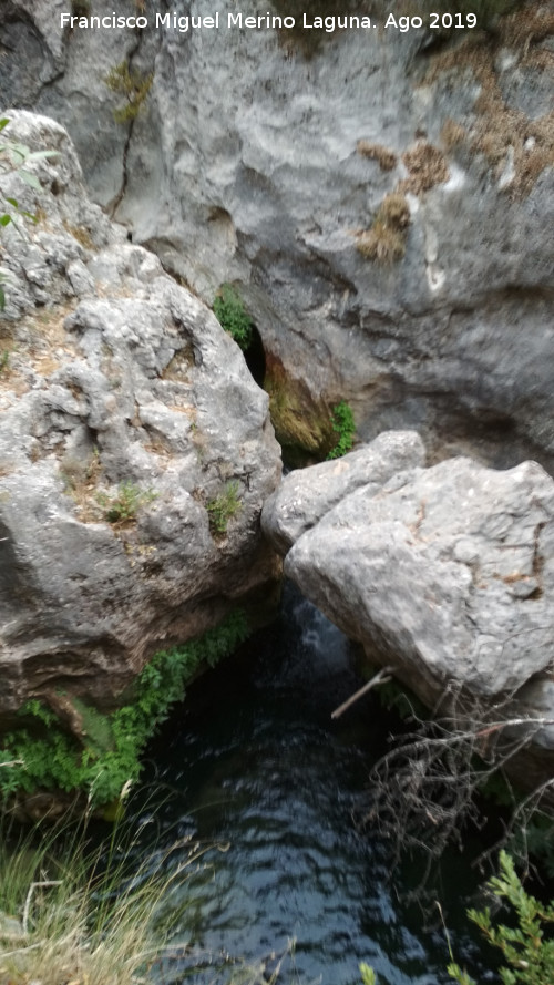 Aguascebas Grande - Aguascebas Grande. Aguas abajo del Molino de la Parra