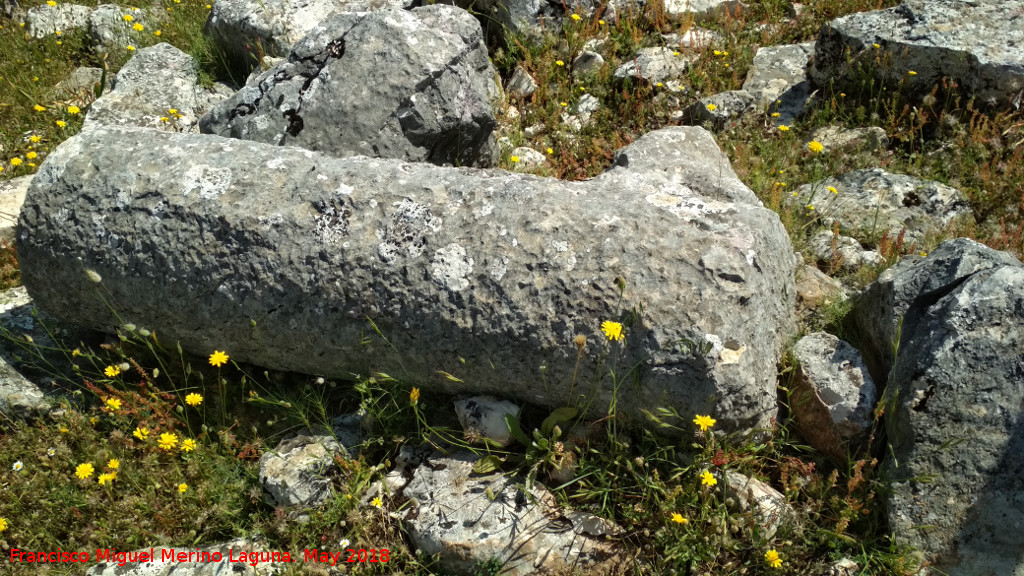 Cantera de los Bastianes - Cantera de los Bastianes. Columna