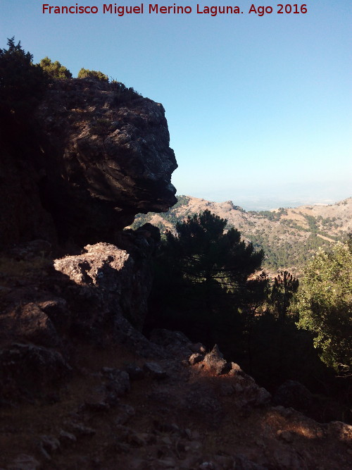 Camino de la Morra de los Pinos Blancos - Camino de la Morra de los Pinos Blancos. 