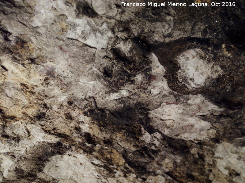 Pinturas rupestres del Abrigo de R�o Fr�o II - Pinturas rupestres del Abrigo de R�o Fr�o II. Panel central