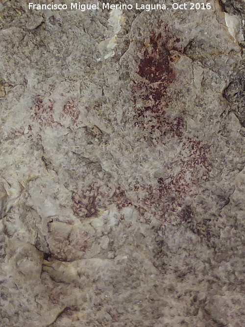 Pinturas rupestres del Abrigo de R�o Fr�o II - Pinturas rupestres del Abrigo de R�o Fr�o II. 