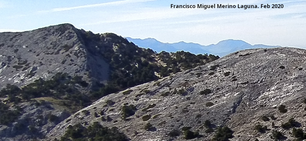 Nava Alta del Espino - Nava Alta del Espino. Desde la Loma de Cagasebo