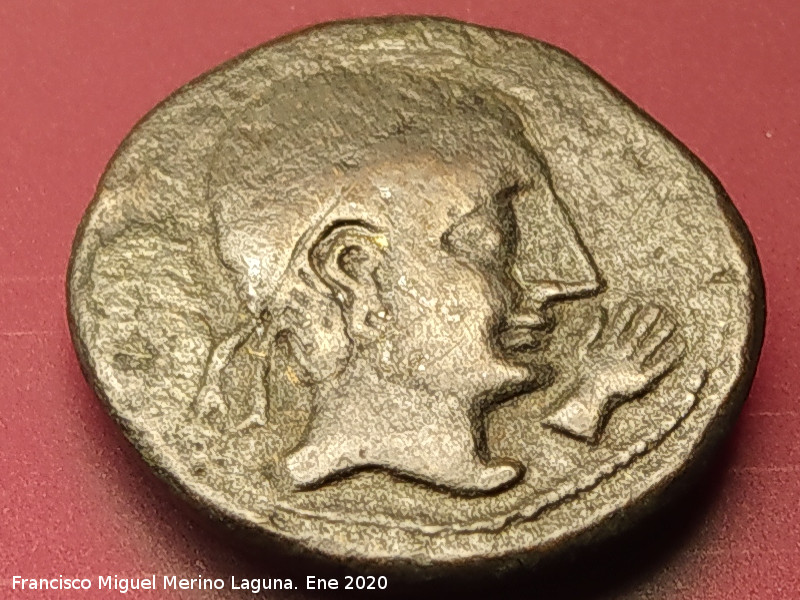 Minas romanas del Centenillo - Minas romanas del Centenillo. Semis del Centenillo. Anverso: Cabeza apol�nea con mano minera. Reverso: Esfinge alada. Museo Provincial de Ja�n