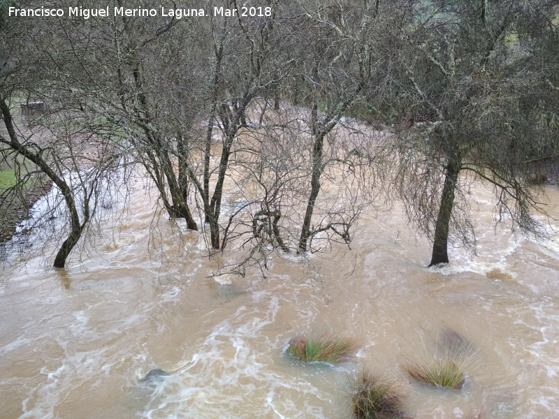 R�o Da�ador - R�o Da�ador. En crecida