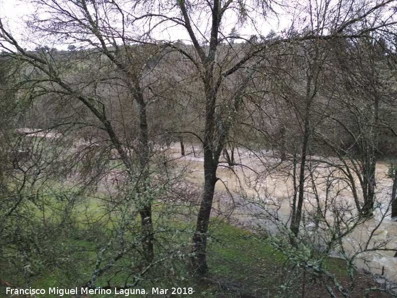 R�o Da�ador - R�o Da�ador. En crecida