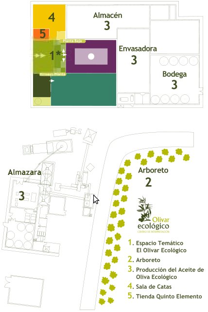 Centro de interpretaci�n del Olivar Ecol�gico - Centro de interpretaci�n del Olivar Ecol�gico. Plano