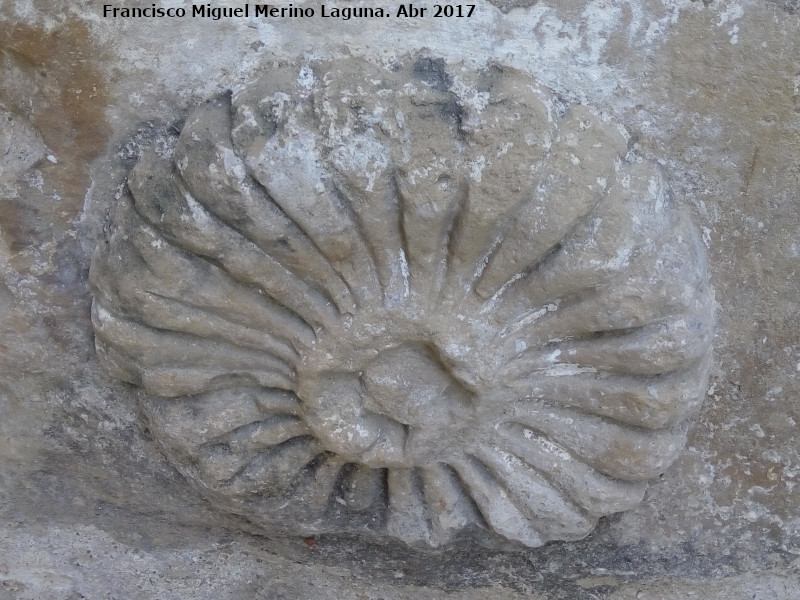 Iglesia de Ntra Sra Mar�a de la Consolaci�n - Iglesia de Ntra Sra Mar�a de la Consolaci�n. Talla encontrada en uno de los sillares del exterior del templo