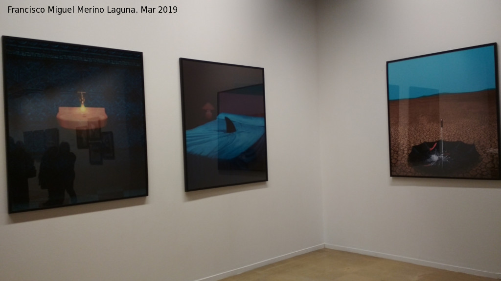 Lonja de Zaragoza - Lonja de Zaragoza. Exposici�n