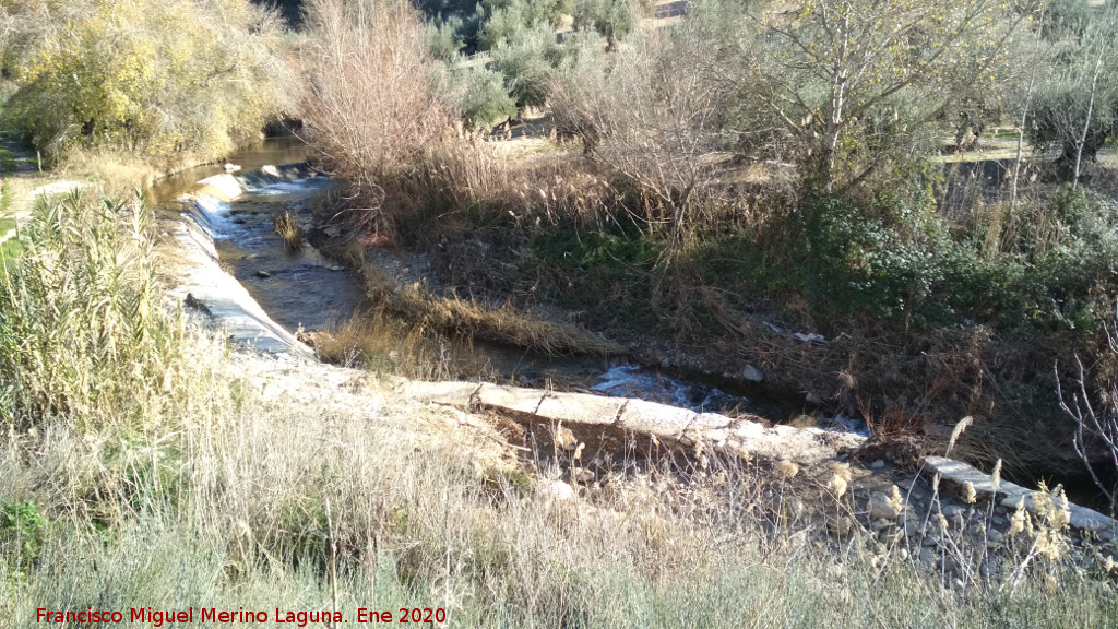 Molino del Moro - Molino del Moro. Presa