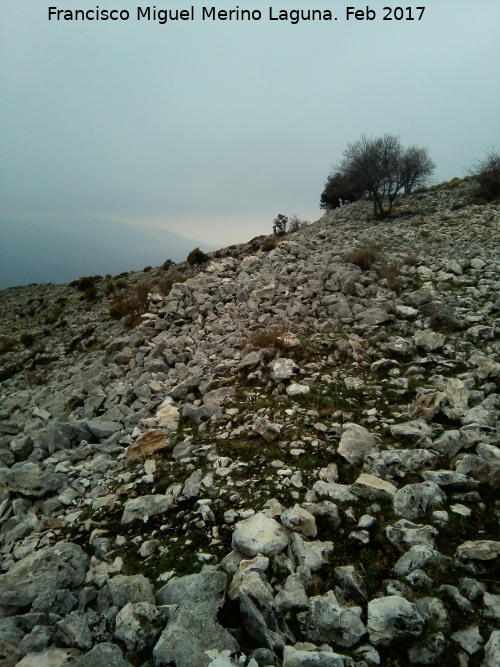 Poblado amurallado del Cerrillo Tesoro - Poblado amurallado del Cerrillo Tesoro. L�nea de muralla