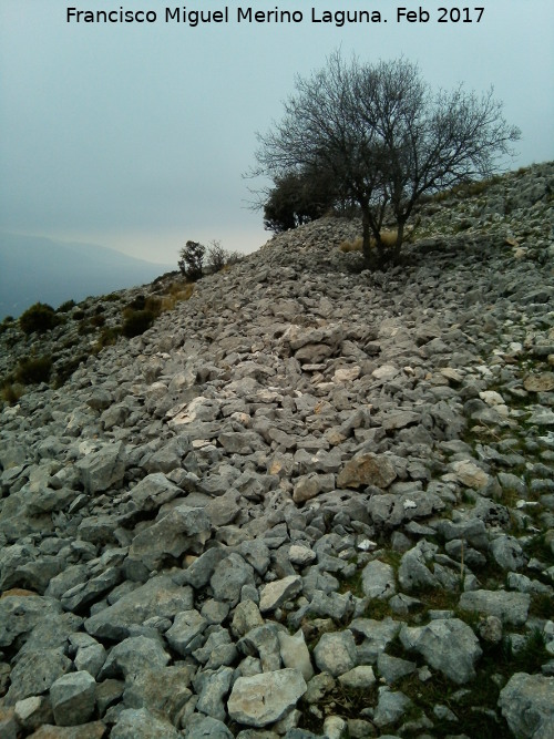 Poblado amurallado del Cerrillo Tesoro - Poblado amurallado del Cerrillo Tesoro. L�nea de muralla