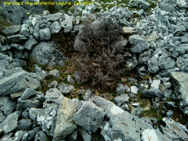 Poblado amurallado del Cerrillo Tesoro - Poblado amurallado del Cerrillo Tesoro. Restos de chozo o caba�a
