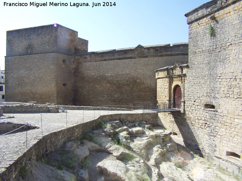 Castillo de Sabiote - Castillo de Sabiote. Foso
