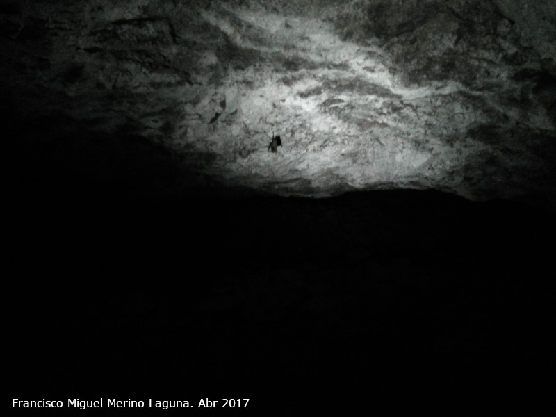 Mina Segunda de las Yeseras - Mina Segunda de las Yeseras. Murci�lago