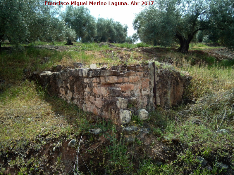 Fuente del Rinc�n - Fuente del Rinc�n. 