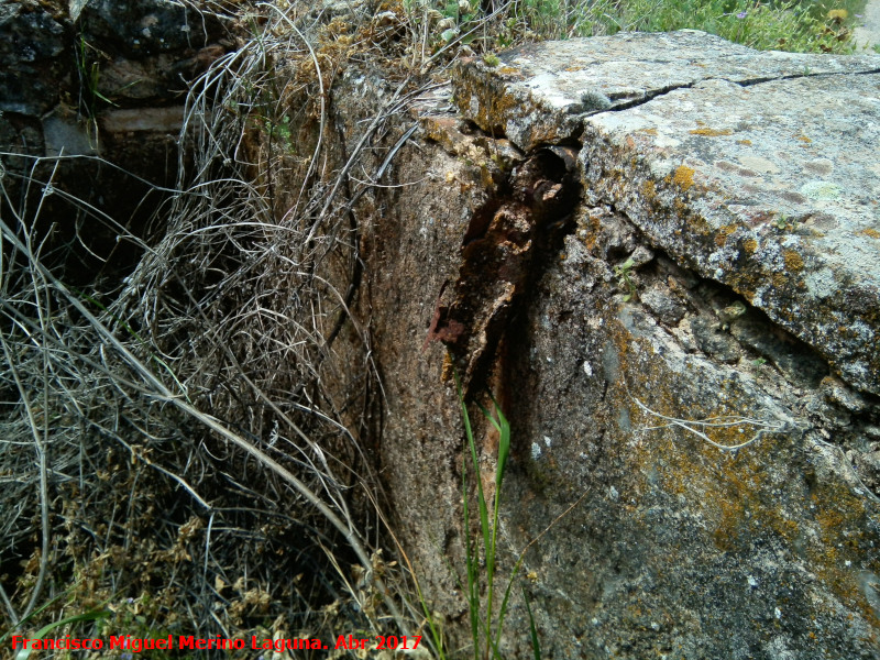 Fuente del Rinc�n - Fuente del Rinc�n. 