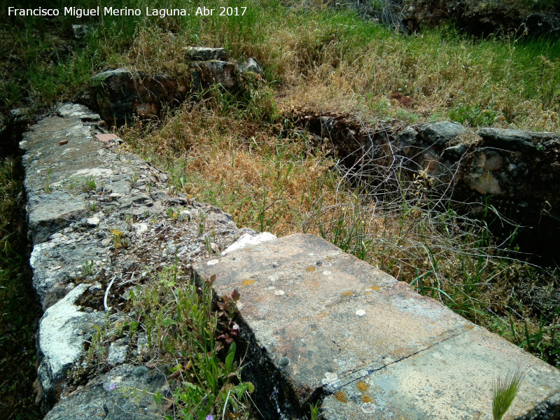 Fuente del Rinc�n - Fuente del Rinc�n. 