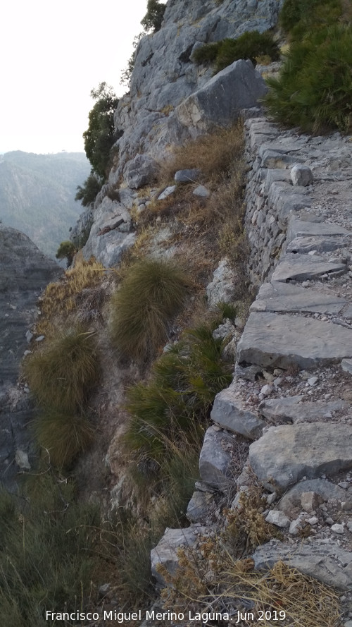 Escalera �rabe - Escalera �rabe. 