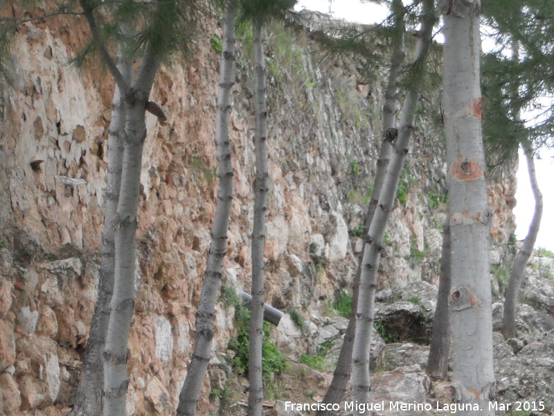 Castillo de la Mu�a - Castillo de la Mu�a. Muralla cicl�pea