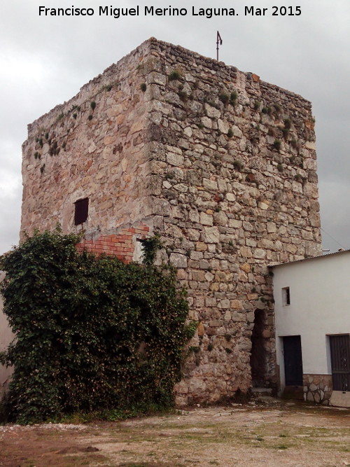 Castillo de la Mu�a - Castillo de la Mu�a. 