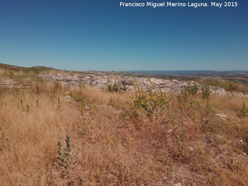 Villae romana del Cerro San Ant�n - Villae romana del Cerro San Ant�n. Yacimiento