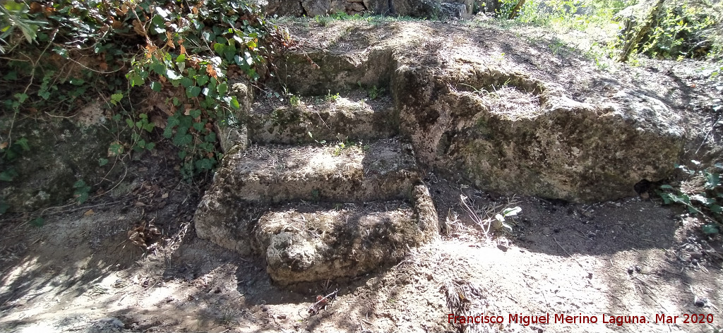 Cueva de la Zorra - Cueva de la Zorra. Escaleras talladas