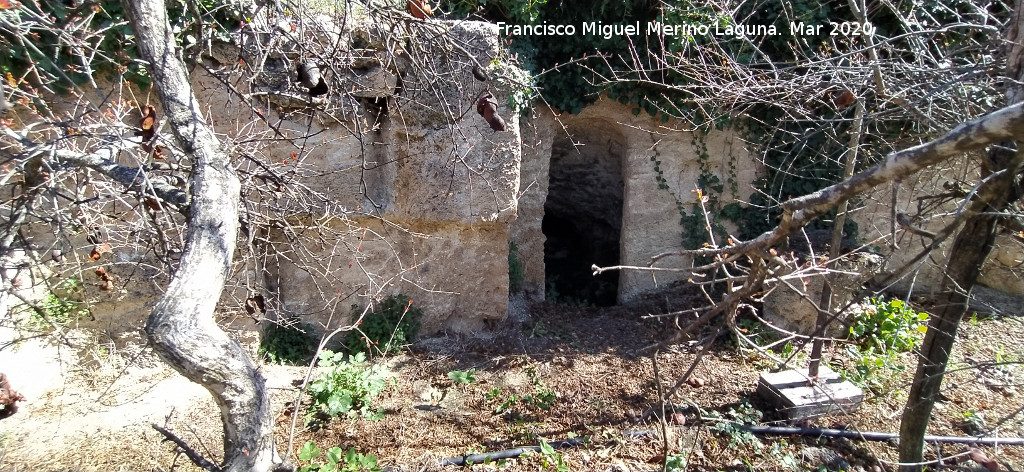 Cueva de la Zorra - Cueva de la Zorra. 