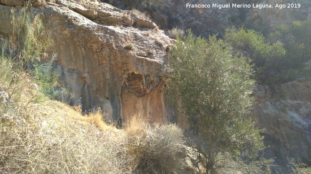 Pinturas rupestres de la Cueva de Ro Fro III - Pinturas rupestres de la Cueva de Ro Fro III. Abrigo