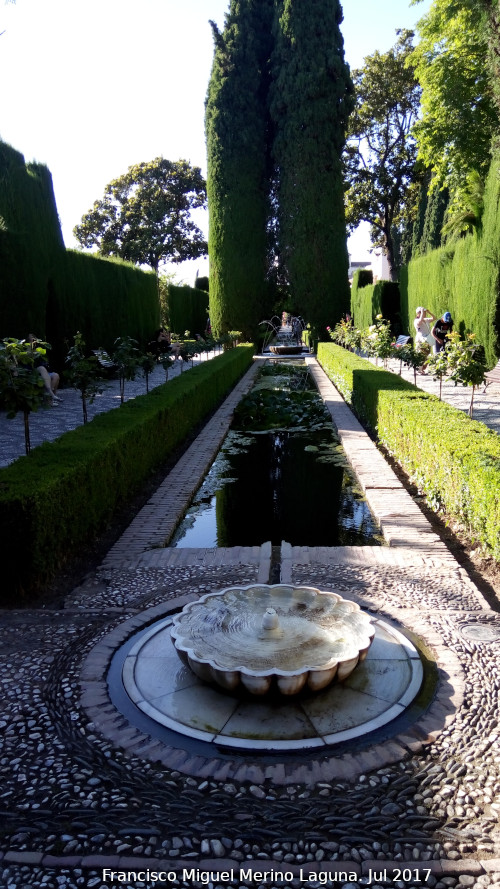 Generalife. Jardines Bajos - Generalife. Jardines Bajos. 