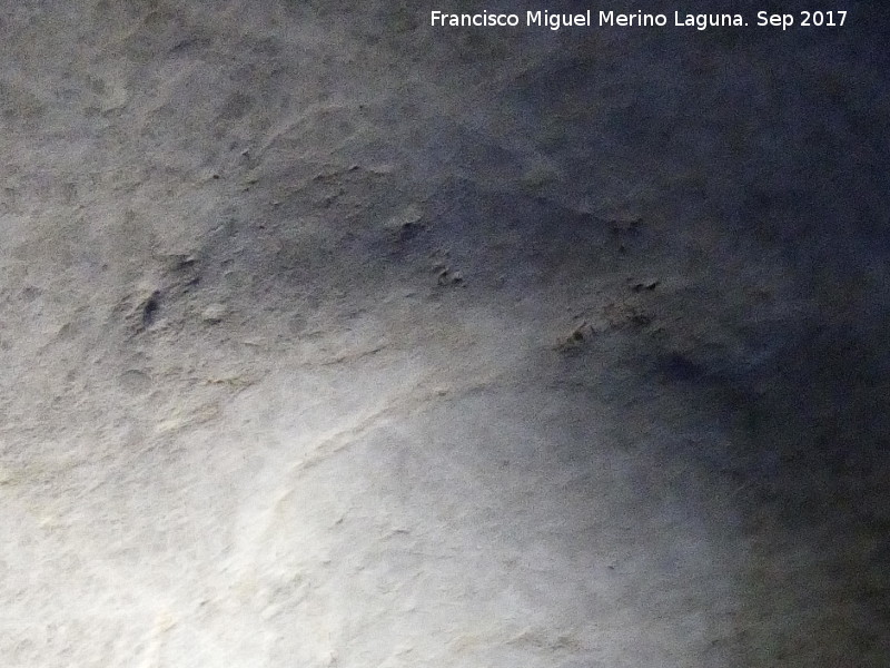 Petroglifos rupestres de la Cueva de los Murci�lagos - Petroglifos rupestres de la Cueva de los Murci�lagos. Zooformo