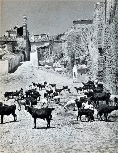 Puerta de Granada - Puerta de Granada. Foto de mediados del siglo XX. Foto de Jean Sermet.