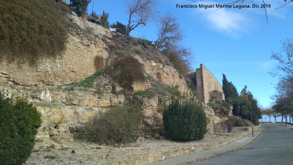 Muralla de Saludeja - Muralla de Saludeja. 