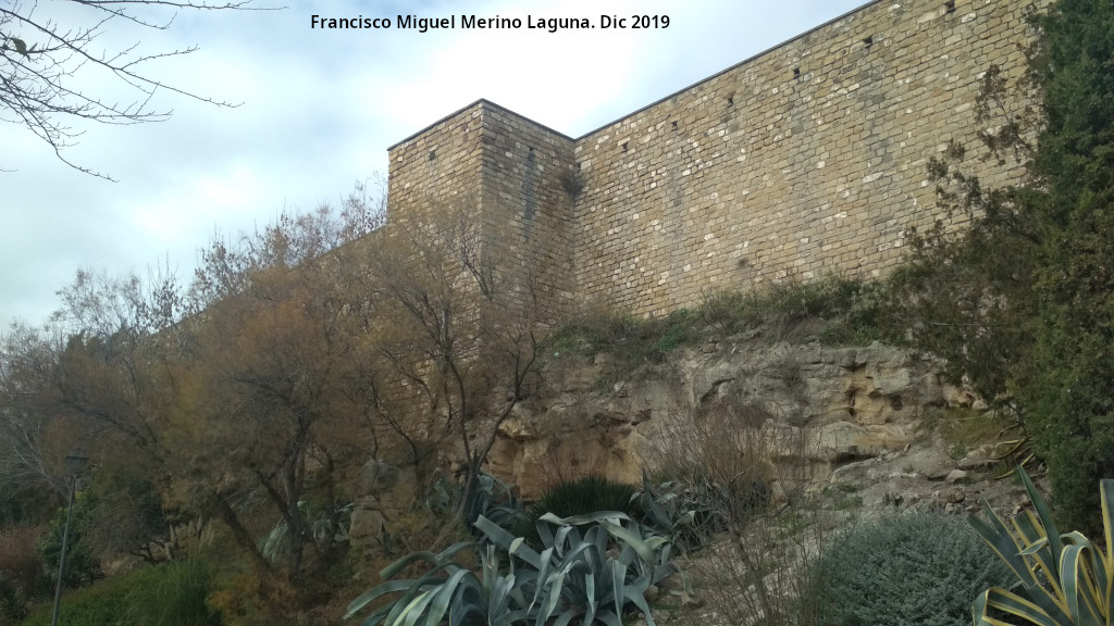 Torre�n de Saludeja VI - Torre�n de Saludeja VI. 