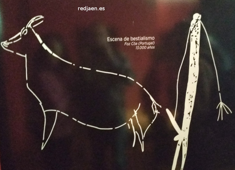 Petroglifos de Foc Coa - Petroglifos de Foc Coa. Paleom�gina - Bedmar