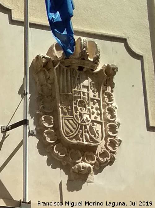 Palacio de San Esteban - Palacio de San Esteban. Escudo de Espa�a