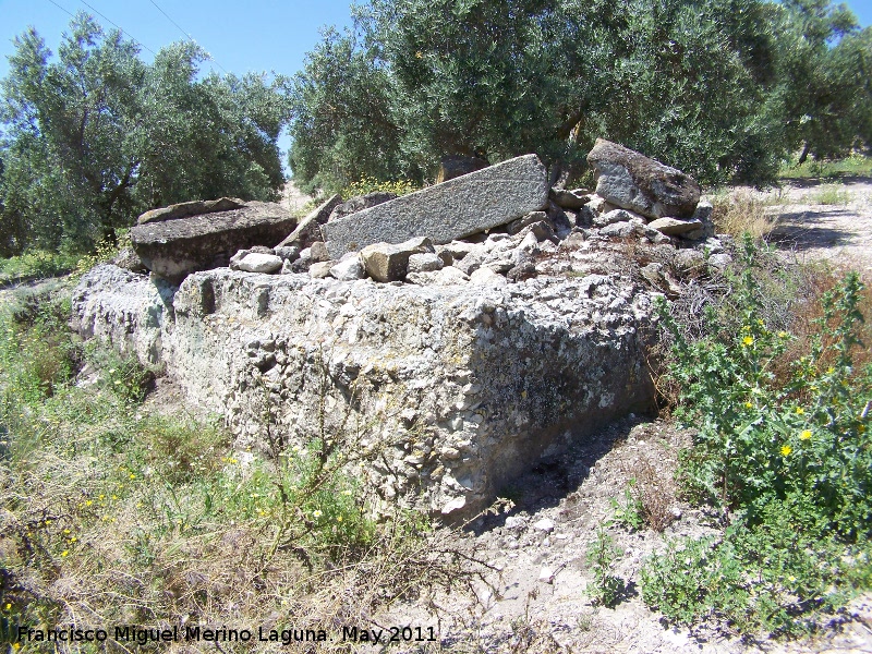 Salaria - Salaria. Construcci�n