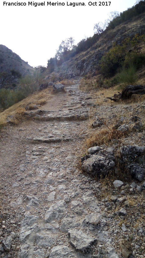 Sendero R�o Bail�n - Sendero R�o Bail�n. 