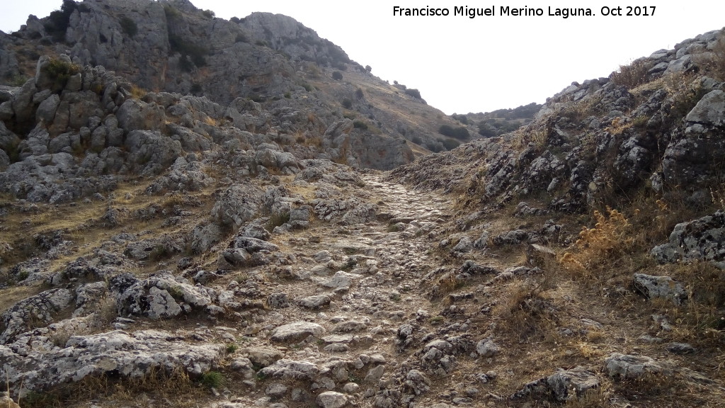 Sendero R�o Bail�n - Sendero R�o Bail�n. 