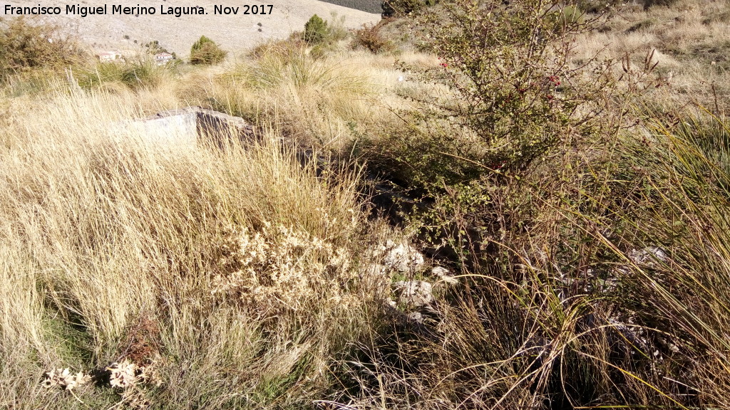 Fuente de Almod�var - Fuente de Almod�var. 