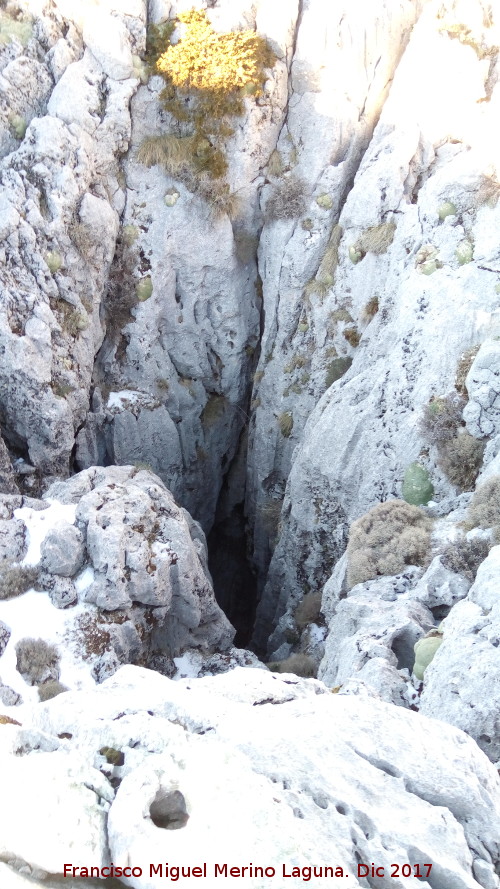 Sima del M�gina - Sima del M�gina. 