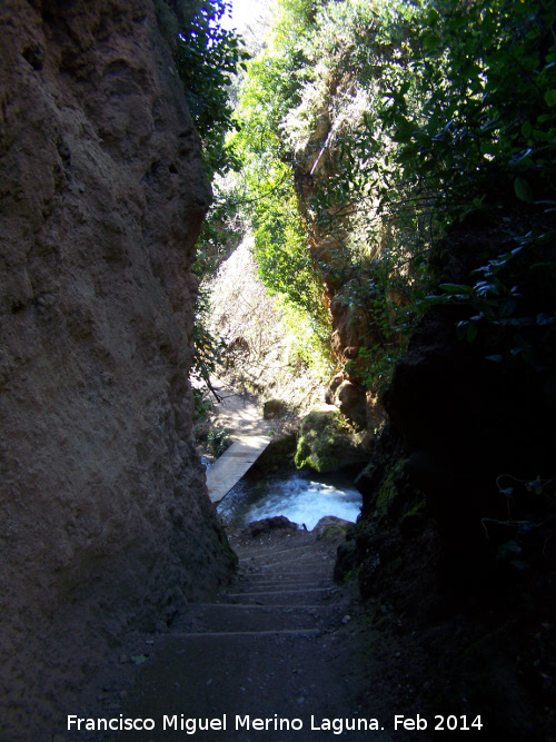 Las Chorreras - Las Chorreras. Ca��n