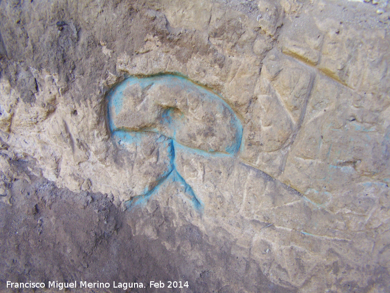 Las Chorreras - Las Chorreras. �ndalo