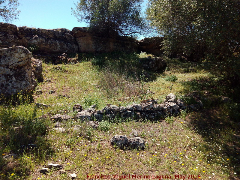 Poblado prehist�rico del Cerro del Salto - Poblado prehist�rico del Cerro del Salto. Resto de muro