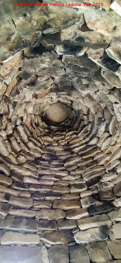 Caracol Testigo - Caracol Testigo. B�veda