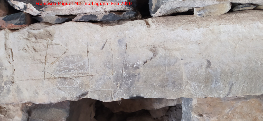 Caracol Testigo - Caracol Testigo. Inscripci�n