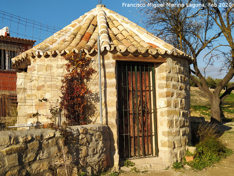 Caracol de Nueva Creaci�n - Caracol de Nueva Creaci�n. 