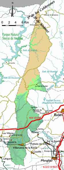 Villanueva de la Reina - Villanueva de la Reina. T�rmino