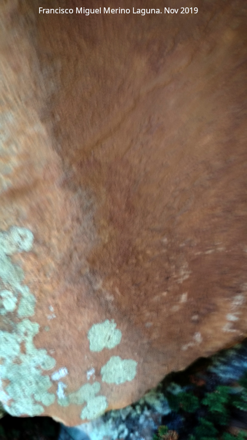 Pinturas rupestres del Arroyo del Chortal III - Pinturas rupestres del Arroyo del Chortal III. Pinturas in�ditas