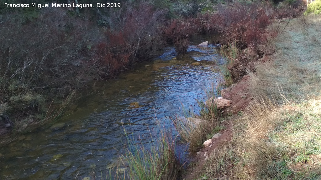Arroyo de Mart�n P�rez - Arroyo de Mart�n P�rez. 