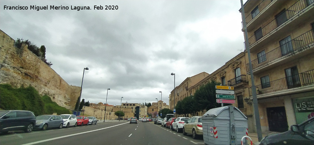 Paseo del Rector Esperab� - Paseo del Rector Esperab�. 